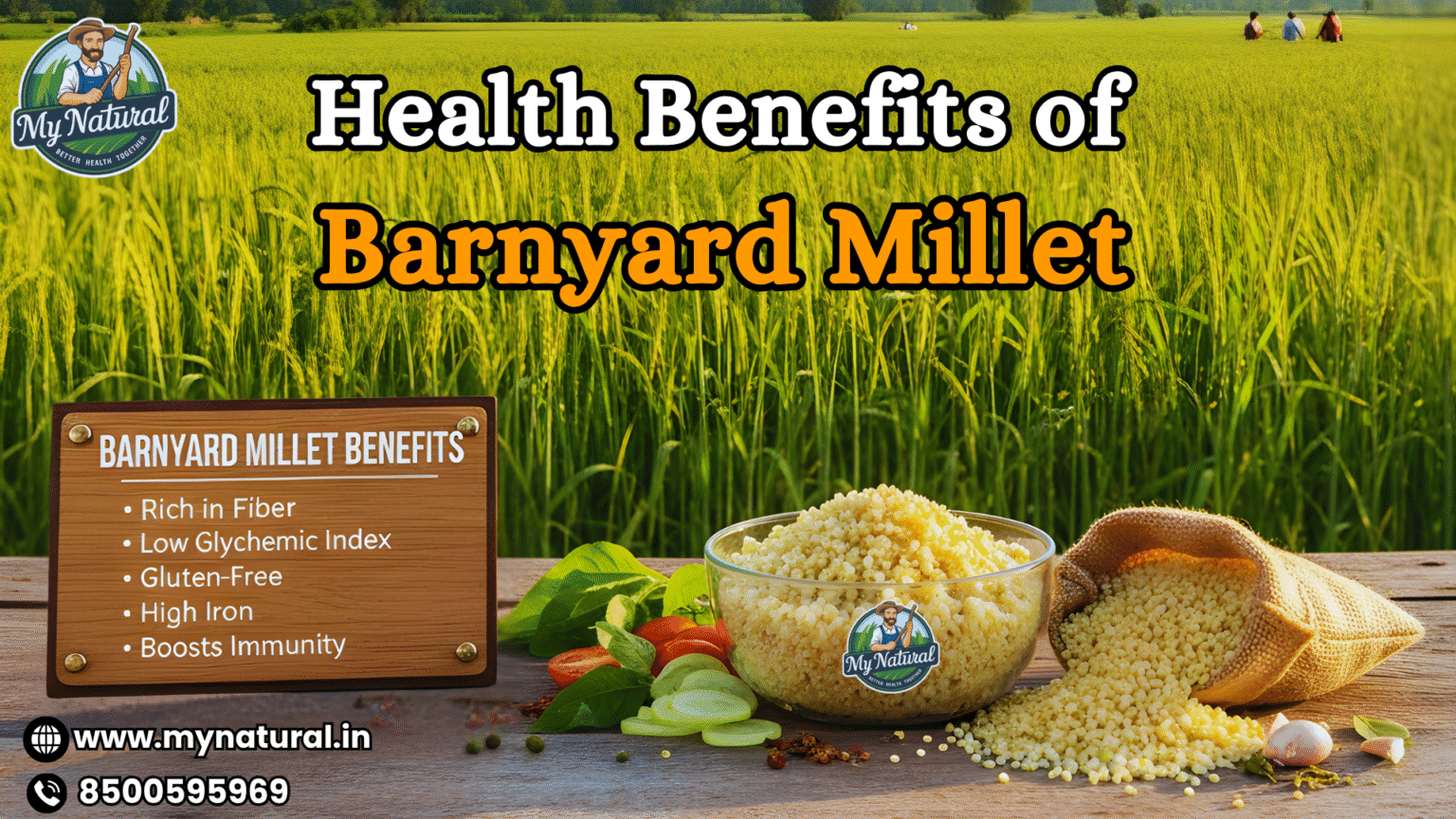 Barnyard Rice Barnyard millet benefits for family health | My Natural